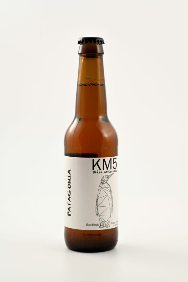 bière artisanale